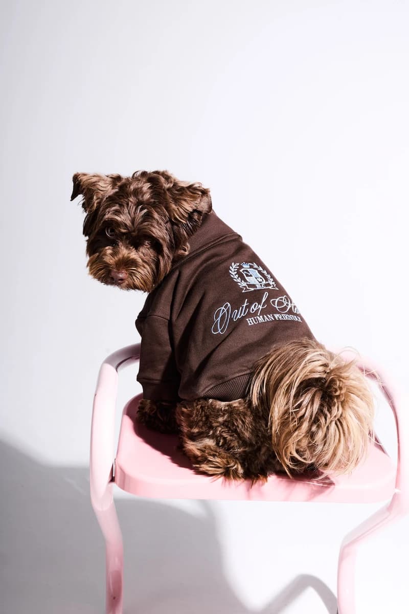 Анорак Brown Gerb